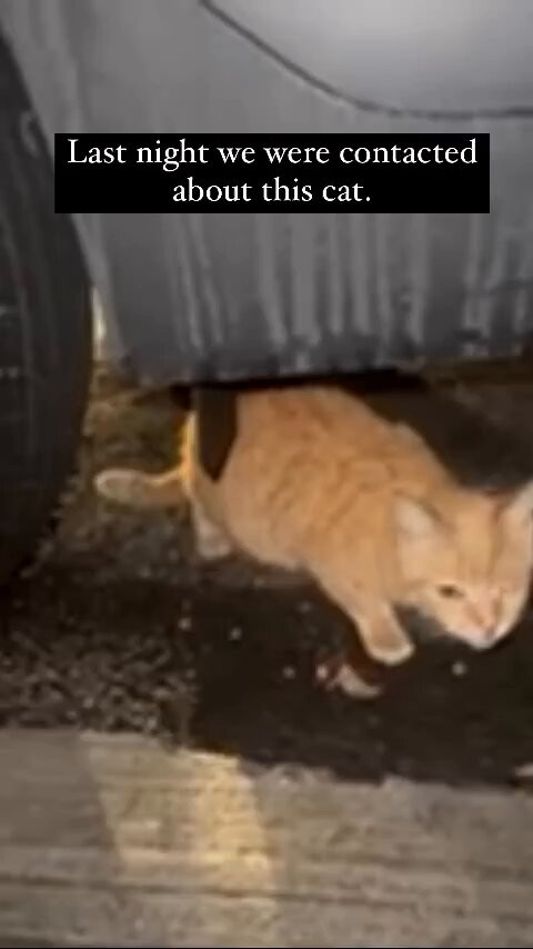 xCUjPm4 t5S1h71J.jpg