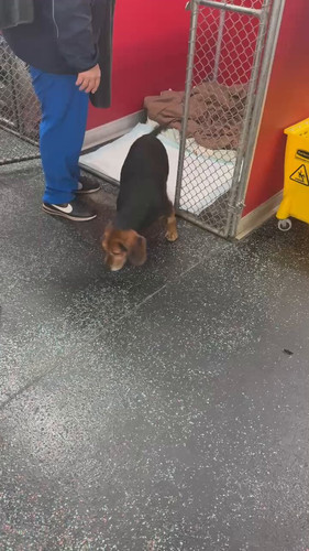 vc wAx5d6X80P22U.jpg