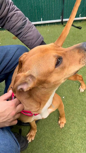 hIpw05KB503 n5hd.jpg