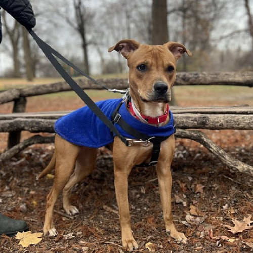 G J8YmAXAAAas3Z?format=jpg.jpg