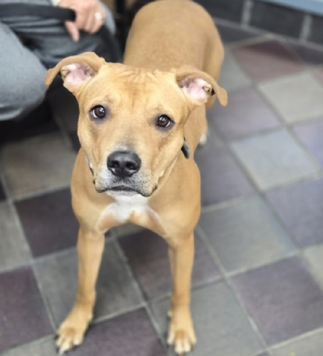 G J8fAPaIAAZewB?format=jpg.jpg