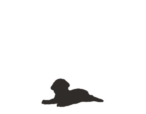 MngwaMelanisticNEWBORN resized.png