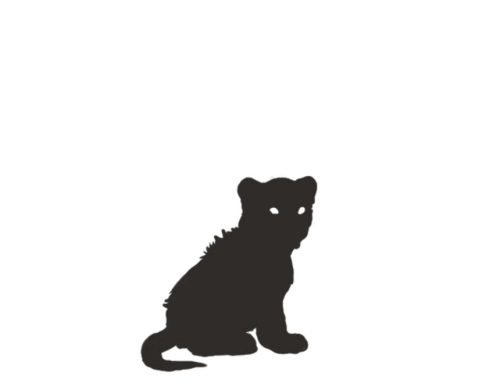 MngwaMelanisticCUB resized.png