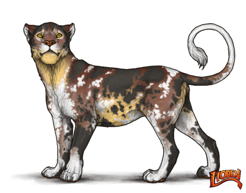 lioden wardrobe (61).png