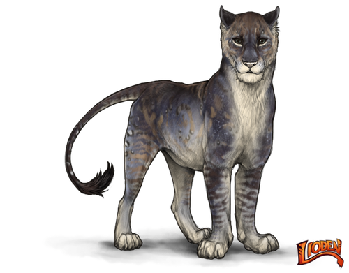 lioden wardrobe (62).png