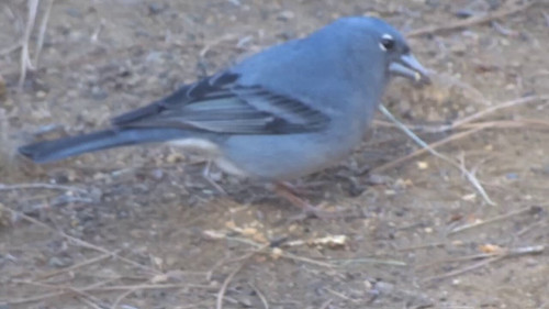 GiUlI DDn3JXzTkd.jpg