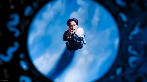 CROWN WALL 13 1080 Edit.jpg