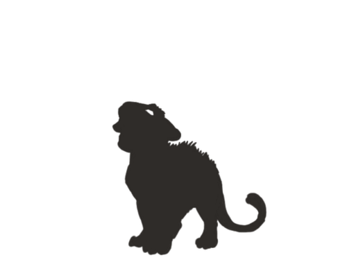 f6qWYRp.md resized.png