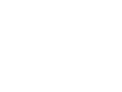 peluche.webp