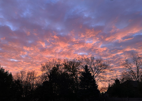 8CDC873C 555B 4C99 93DC 5F6C49413415 1 105 c.jpg