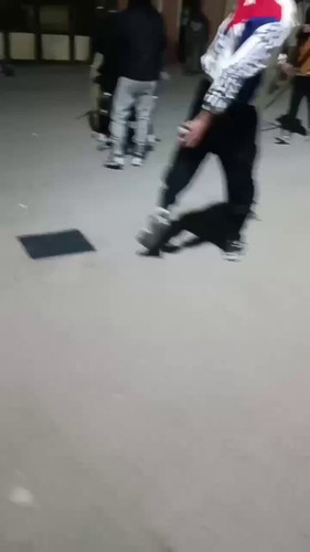 pwfHh49coKNsJTTV.jpg