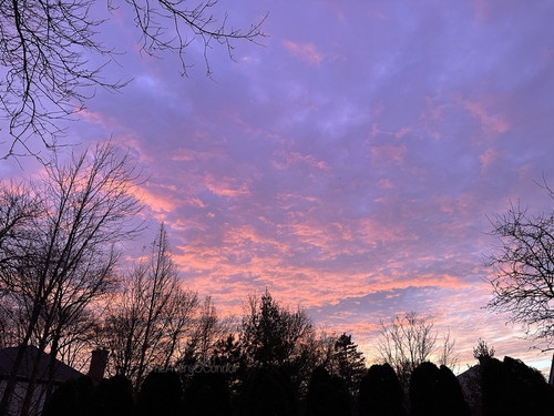 87DFCAAC B36C 42E5 8F63 6D4F2DEEFF18 1 105 c.jpg