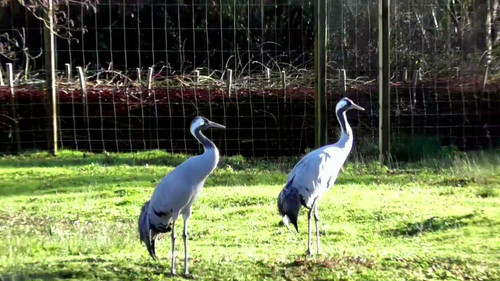 V6lK3txcYyf Mw4u.jpg