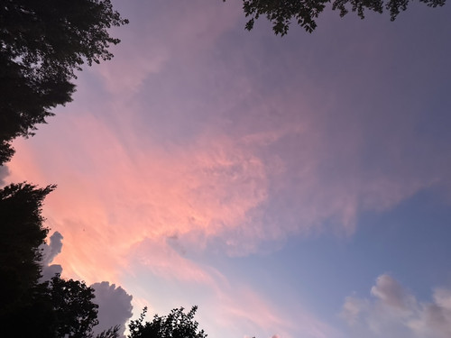 947C235C 78B3 48C0 AD9E BC81A0F4D5DA 1 105 c.jpg