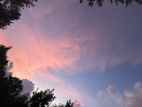 564E42F3 A991 434C AA7F E8C2C6D96035 1 105 c.jpg