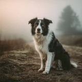 Injured. Not defeated.❤️✨