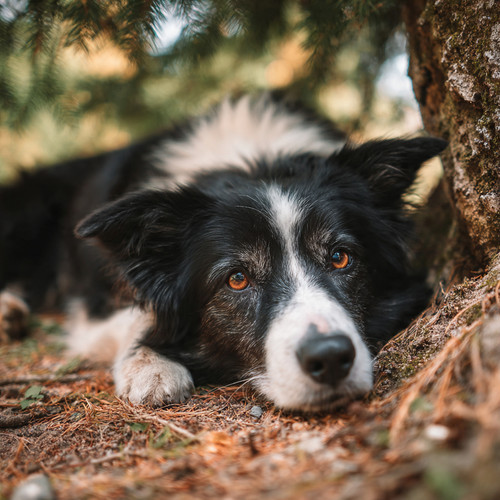 Rest now. Think later.❤️✨.jpg