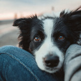 Trust is silent.❤️✨