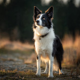 Always ready.❤️✨