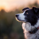 Thinking about the next move.❤️✨