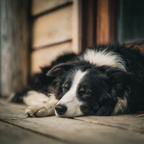 Peace is earned.❤️✨.jpg