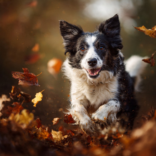 Play is also learning.❤️✨.jpg