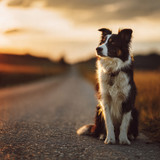 Quiet road. Sharp mind.❤️✨