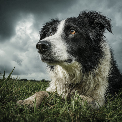 Rain passed. Strength stayed.❤️✨.jpg