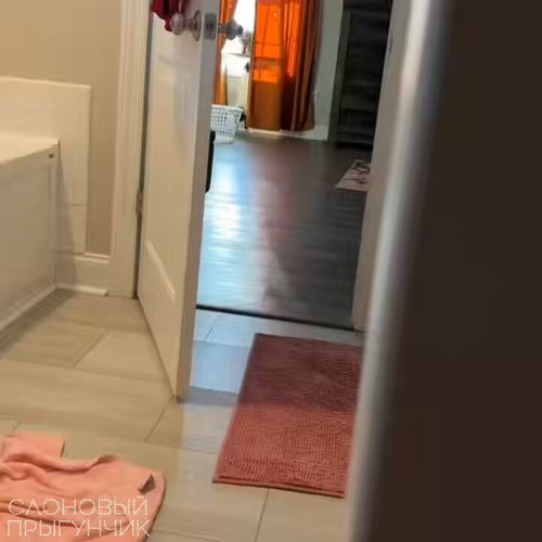 mkVNe OoTFmxl7qj.jpg