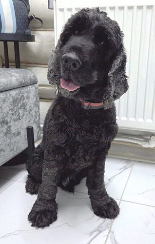 G aSQncWEAESP17?format=jpg.jpg