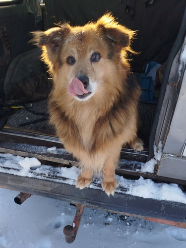 G a2C6jXgAA1Z44?format=jpg.jpg