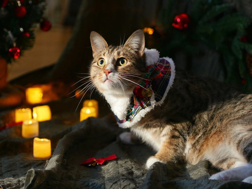 G RMCZFXkAANRWX?format=jpg.jpg