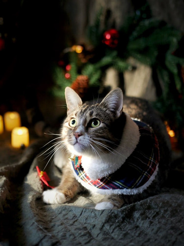 G RMCZIWkAEAEIG?format=jpg.jpg