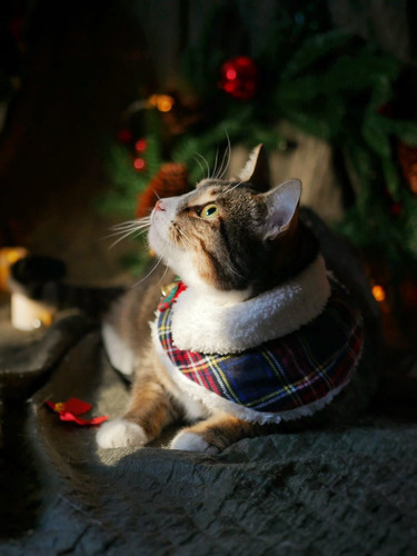 G RMCY XkAAVPG4?format=jpg.jpg