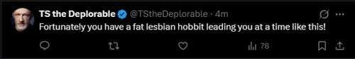fatlesbianhobbit.jpg