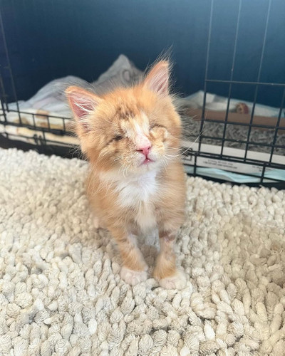 G Yp7sGW0AAR TR?format=jpg.jpg