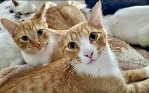 G TKFy9bAAIH MZ?format=jpg.jpg