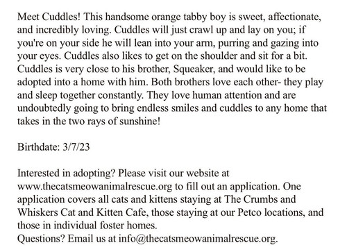 G TKFy7boAAa8ro?format=jpg.jpg