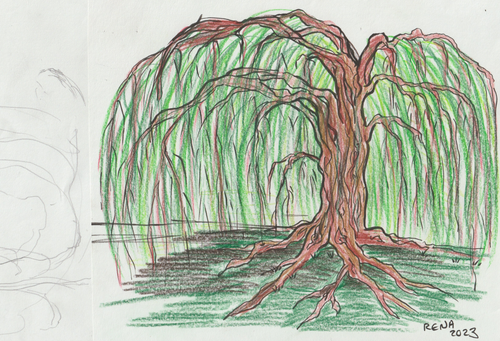 FirstImpressionOldManWillow.png