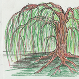 FirstImpressionOldManWillow