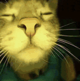 db1e6f380aca333fca9f6a7e155a0fb3.gif