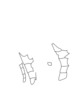 Untitled636 20260124021818.png