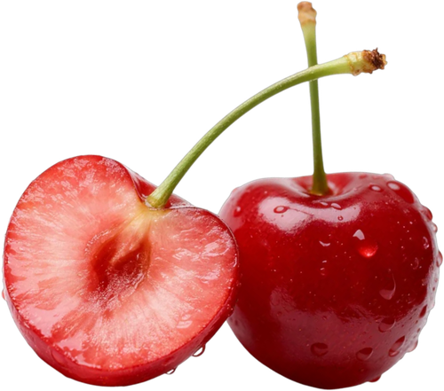 retouch 2026012415124151.png