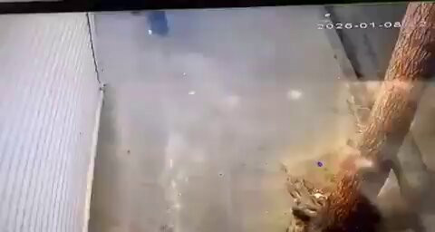 X4N0jTc8ZeP HE B.jpg