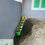 Perumahan Griya Bure