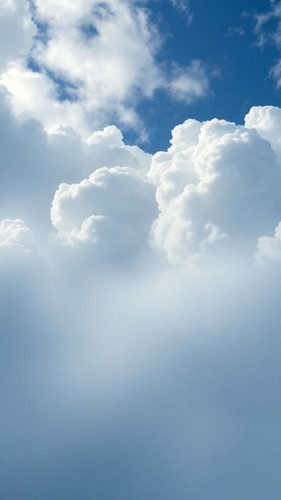 af399402021c.jpg