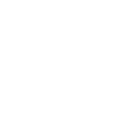 icon (1).png
