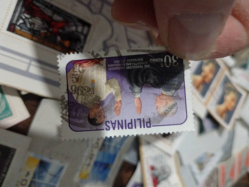 987311677ada.jpg