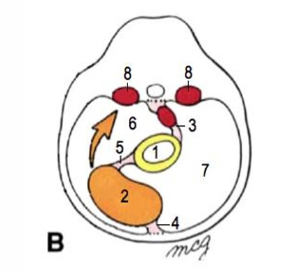 cdfa0d308d03.jpg