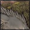 I.png